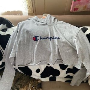 Champion crop with hood